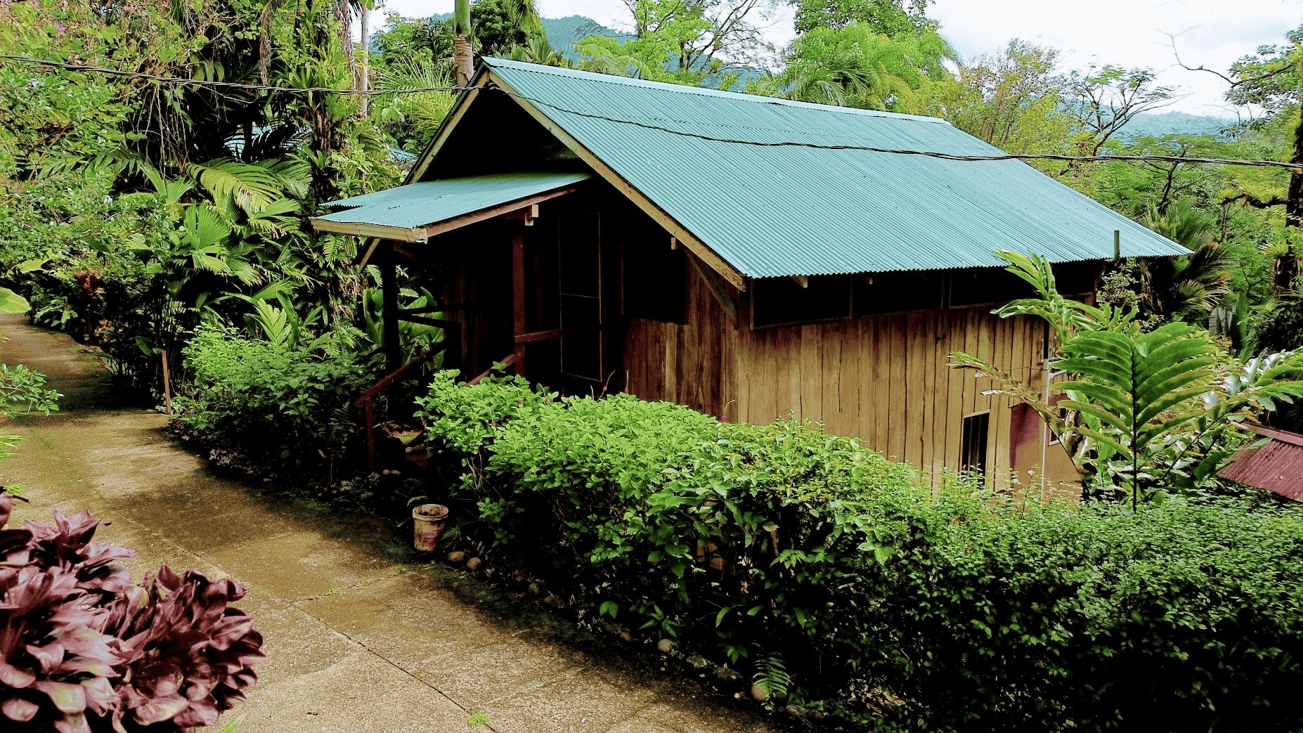 Riverside Jungle Estate – Río Naranjo, Villa Nueva, Quepos, Costa Rica